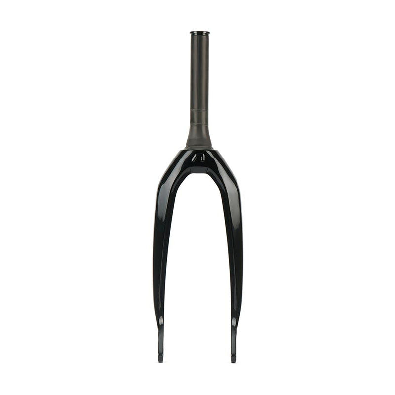 Load image into Gallery viewer, ARISE-20-in-Rigid-Fork-RGFK0319
