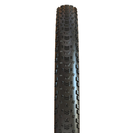 Maxxis Aspen Mountain Tire 29