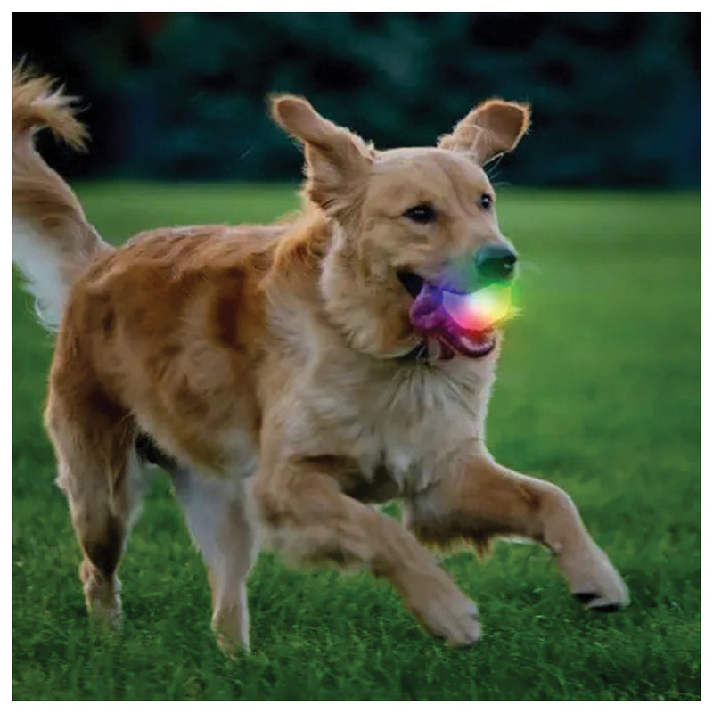 Load image into Gallery viewer, NITE-IZE-GIFT-ITEMS-GIFT0263
