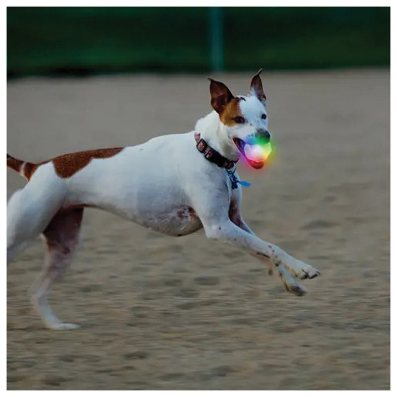 Load image into Gallery viewer, Nite Ize Glowstreak Wild Ball-Disc-O: Light-Up Fun for Pets and People!
