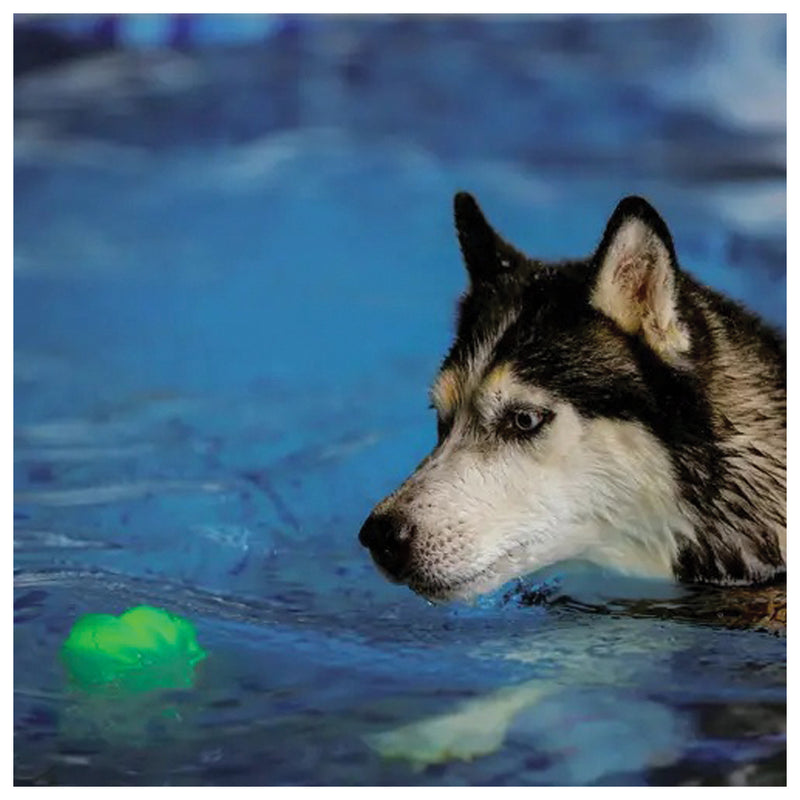 Load image into Gallery viewer, Nite Ize Glowstreak Wild Ball-Disc-O: Light-Up Fun for Pets and People!
