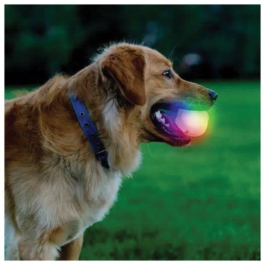 Nite Ize Glowstreak Wild Ball-Disc-O: Light-Up Fun for Pets and People!