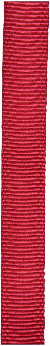 CYPHER-Rack-Strap-Tie-&-Bungee-RSTB0678