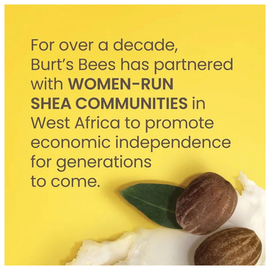 BURT'S-BEES-Lip-Balm-LPBM0190