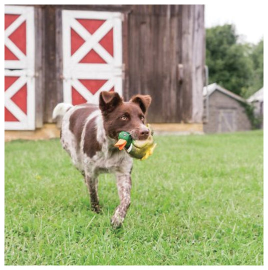 Sportsmen Latex Meeze Duck: The Ultimate Hunting Companion