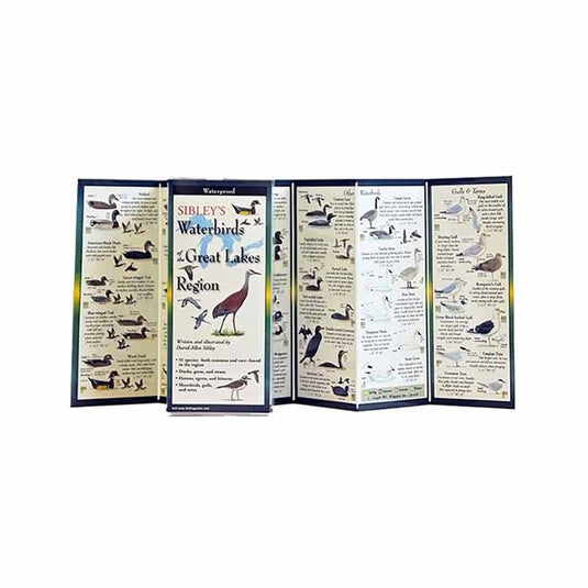 EARTH-SKYWATER-Literature-LTRT1625