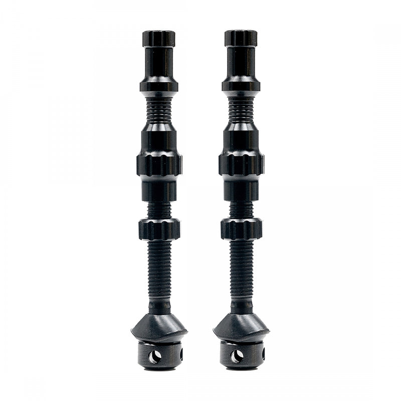 Load image into Gallery viewer, Stan's-Exo-Core-Tubeless-Valves-TBVL0428
