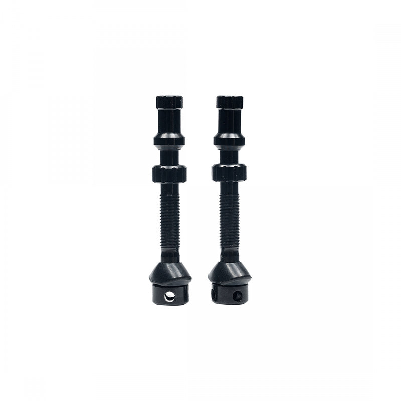 Load image into Gallery viewer, Stan's-Universal-Alloy-Tubeless-Valves-TBVL0425
