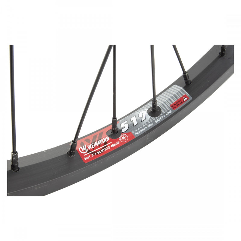 Load image into Gallery viewer, Wheel Master 20in Alloy BMX Bike 20in Rear Alloy RIM
