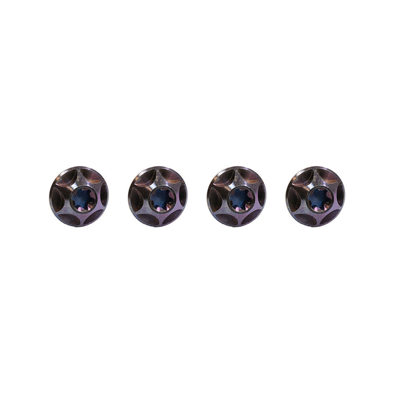 Load image into Gallery viewer, Silca Sicuro Ti bottle cage bolts, Set, Purple Anodized, Set of 4
