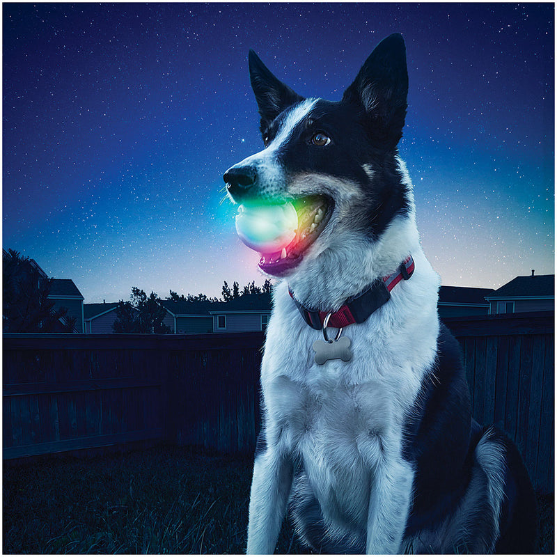 Load image into Gallery viewer, Nite Ize Glowstreak LED Ball - Disc-O Dog Toy for Endless Fun!
