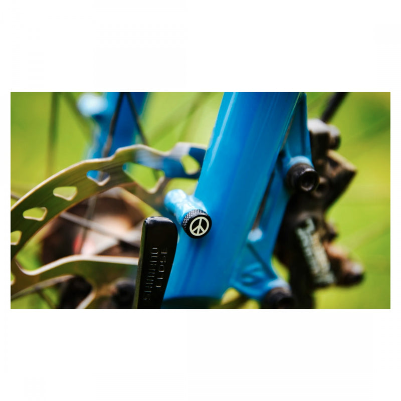 Load image into Gallery viewer, Portland Design Works Zit Bitz Decorative Bolts M5 Set of 4
