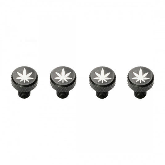 Portland-Design-Works-Zit-Bitz-Decorative-Bolts-Bolt-BOLT0054