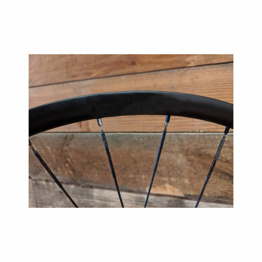 Berd PolyLight 14g Spoke, Black, 273mm, Each