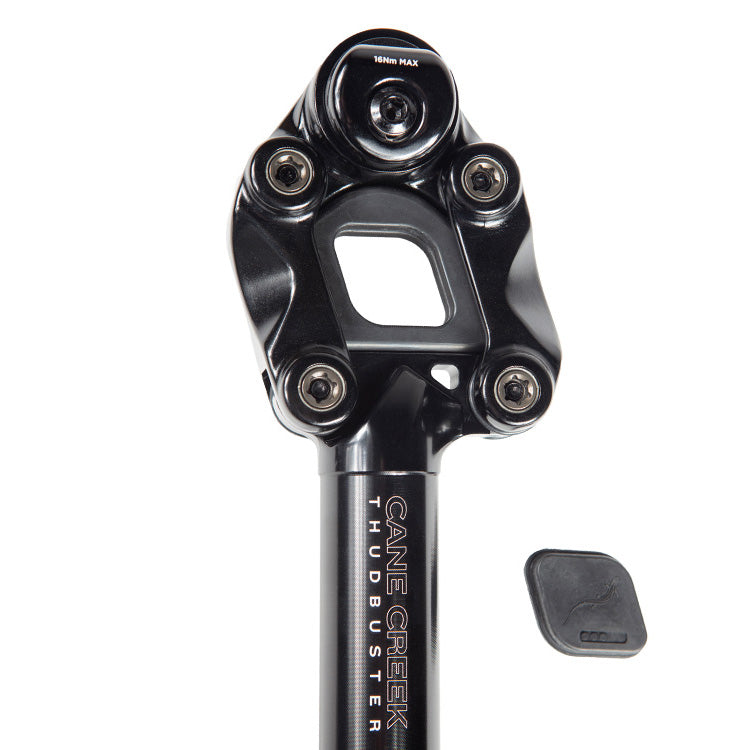 Load image into Gallery viewer, Cane Creek G4 Thudbuster-ST Seatpost, 27.2 x 345mm, SS Clamp
