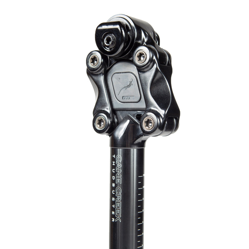 Load image into Gallery viewer, Cane Creek G4 Thudbuster ST Seatpost, 31.6 x 375mm, SS Clamp
