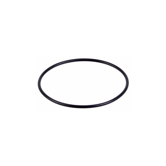 Fox-Shox-DRCV-Rear-Shock-Spring-RSSP0586-MTB-Rear-Shock-Spring