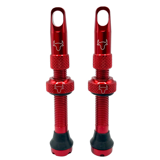 Hold-Fast-Cycling-Premium-Insert-Tubeless-Valves-TBVL0512