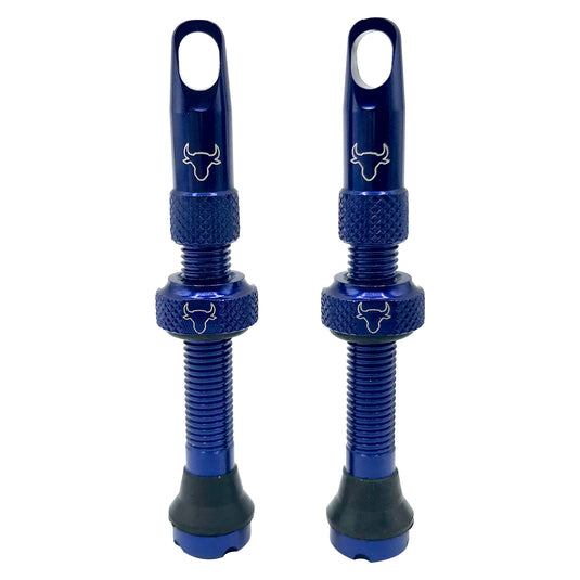 Hold-Fast-Cycling-Premium-Insert-Tubeless-Valves-TBVL0511