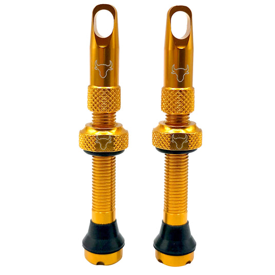 Hold-Fast-Cycling-Premium-Insert-Tubeless-Valves-TBVL0506
