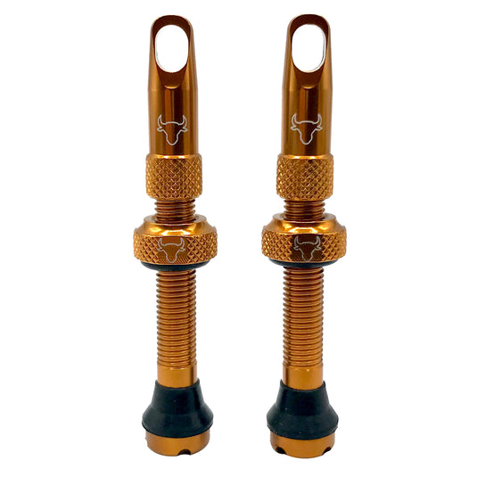 Hold-Fast-Cycling-Premium-Insert-Tubeless-Valves-TBVL0509