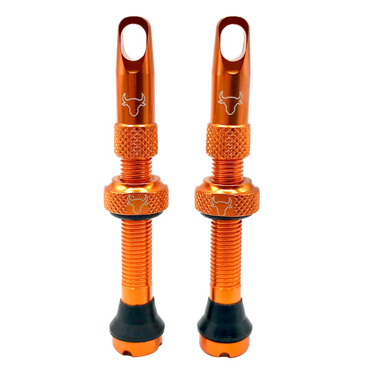 Hold-Fast-Cycling-Premium-Insert-Tubeless-Valves-TBVL0514