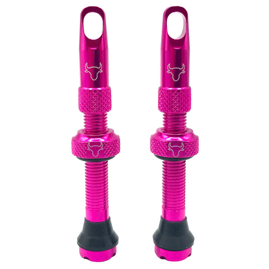 Hold-Fast-Cycling-Premium-Insert-Tubeless-Valves-TBVL0513