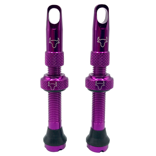 Hold-Fast-Cycling-Premium-Insert-Tubeless-Valves-TBVL0515