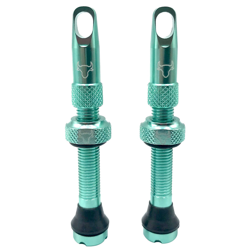 Load image into Gallery viewer, Hold-Fast-Cycling-Premium-Insert-Tubeless-Valves-TBVL0502
