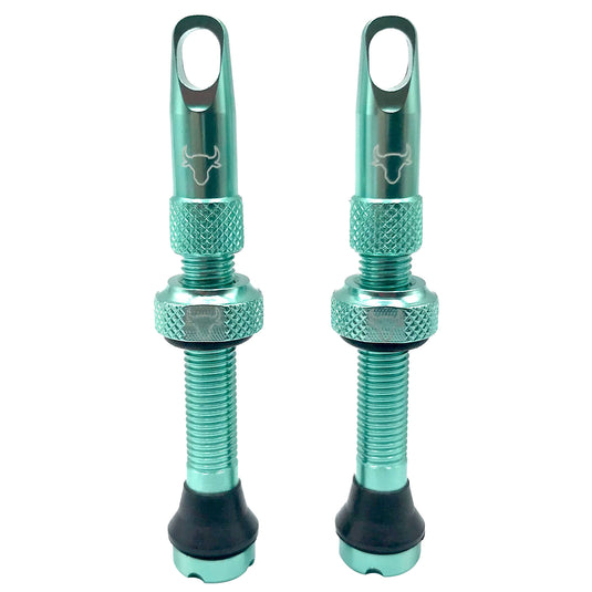 Hold-Fast-Cycling-Premium-Insert-Tubeless-Valves-TBVL0502