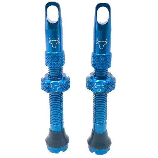 Hold-Fast-Cycling-Premium-Insert-Tubeless-Valves-TBVL0497