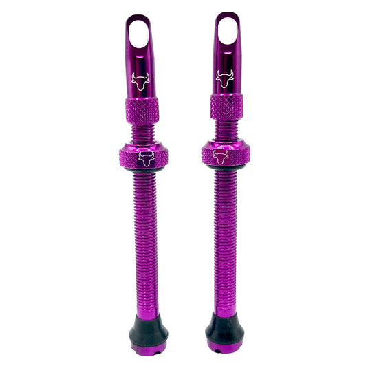 Hold-Fast-Cycling-Premium-Insert-Tubeless-Valves-TBVL0505