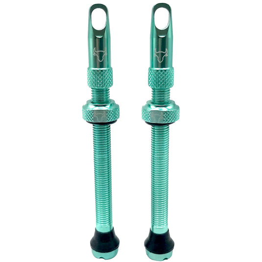 Hold-Fast-Cycling-Premium-Insert-Tubeless-Valves-TBVL0516