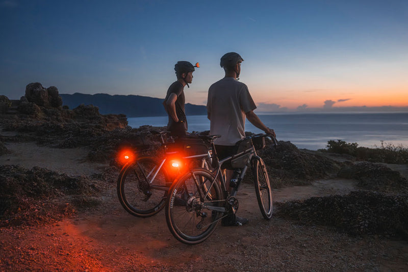Load image into Gallery viewer, Topeak Rack RedLite 60 Rack Mounted Taillight
