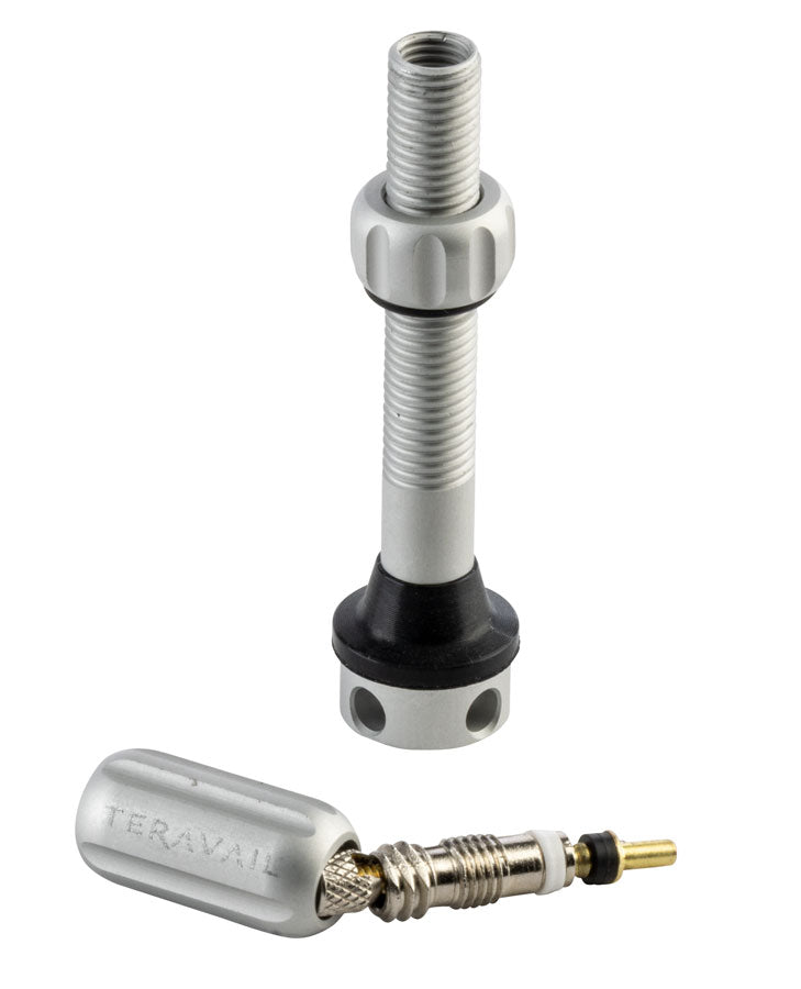 Load image into Gallery viewer, Teravail Alloy Tubeless Valves - Pair, 48mm, Matte Silver
