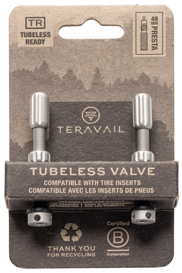 Load image into Gallery viewer, Teravail Alloy Tubeless Valves - Pair, 48mm, Matte Silver
