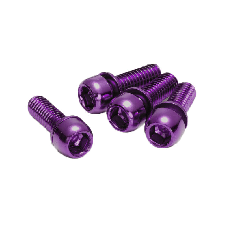 Load image into Gallery viewer, Reverse-Disc-Brake-Caliper-Bolts-M6x18-Disc-Caliper-Part-DCPT0160
