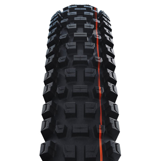 Schwalbe Albert Gravity Pro Mountain Tire, 29