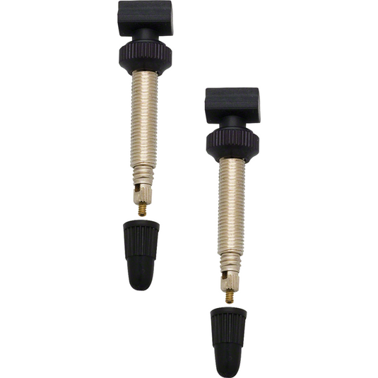 DT-Swiss-Tubeless-Valves-TBVL0345PO2