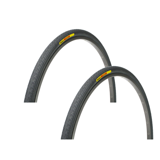 Panaracer-Pasela-Tire-700c-38-Wire-TR2318PO2-Wire-Bead-Tires