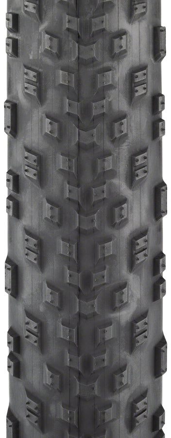 Teravail Rutland Tire 29 x 2.2 Tubeless Folding Black Light and Supple