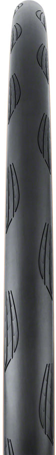 Continental Grand Prix TR Tire - 700 x 32, Tubeless, Folding, Black/Transparent, BlackChili