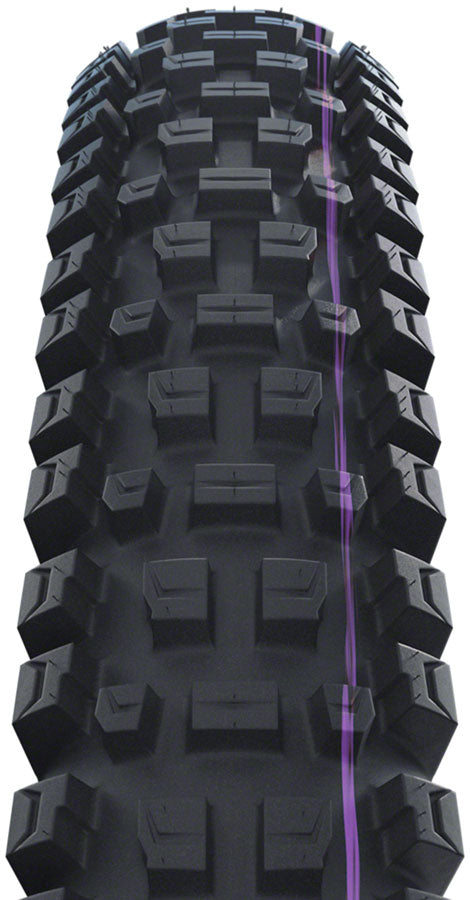 Schwalbe Albert Gravity Pro Mountain Tire, 29