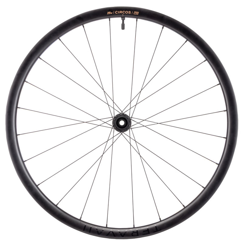 Load image into Gallery viewer, Teravail Circos Gravel Front Wheel - 700, 12 x 100mm, Center-Lock, Carbon, DT240, 24H
