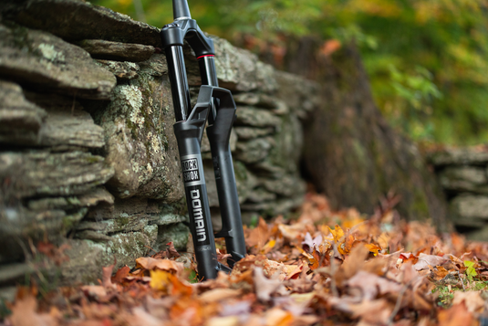 RockShox Domain Gold C1 Suspension Fork, 29'', DebonAir, 160mm, 1-1/8''-1.5'', 15x110mm TA, Rake: 44mm, Black